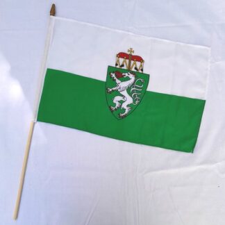 Fahne "Steiermark" 30x45cm
